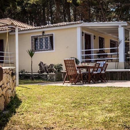 Azzuro Beach House - On The Beach & Private Pool, By Zantewize Vasilikos  Exterior photo